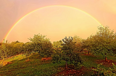 Regenbogen 09 2025